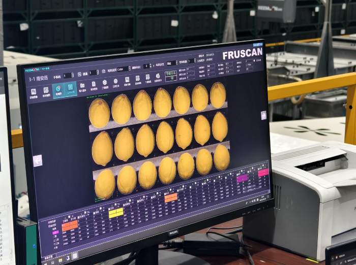 甜了日子，兴了产业！蜜雪柠檬果链起富民路