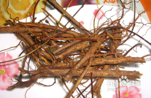 枸杞根 枸杞根