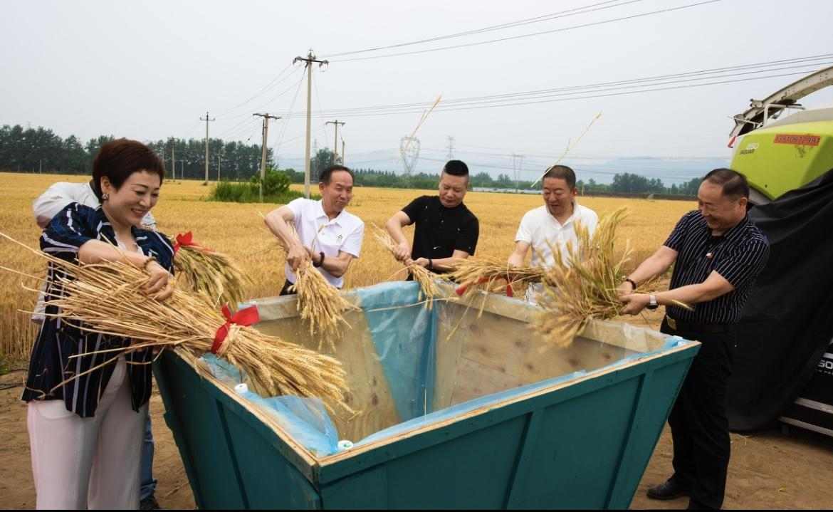 2024大地之境丰收节暨掼蛋艺术探源之旅在京开幕