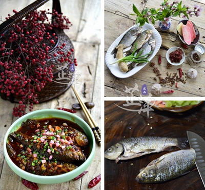 豆瓣小鲫鱼 豆瓣小鲫鱼