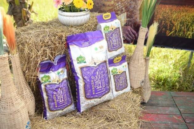 正宗泰香米,就选香纳兰!益海嘉里携手乌汶府官方为新米节开镰! 正宗泰香米,就选香纳兰!益海嘉里携手乌汶府官方为新米节开镰!