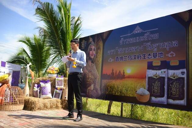 正宗泰香米,就选香纳兰!益海嘉里携手乌汶府官方为新米节开镰! 正宗泰香米,就选香纳兰!益海嘉里携手乌汶府官方为新米节开镰!