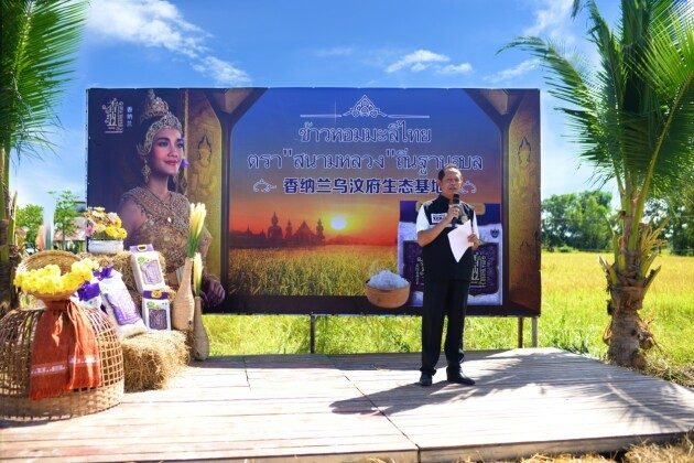 正宗泰香米,就选香纳兰!益海嘉里携手乌汶府官方为新米节开镰! 正宗泰香米,就选香纳兰!益海嘉里携手乌汶府官方为新米节开镰!