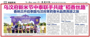 正宗泰香米,就选香纳兰!益海嘉里携手乌汶府官方为新米节开镰! 正宗泰香米,就选香纳兰!益海嘉里携手乌汶府官方为新米节开镰!