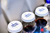 星空美酒，闪耀智利！ —— 2023年智利葡萄酒路演