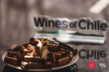 星空美酒，闪耀智利！ —— 2023年智利葡萄酒路演