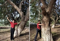 浓情中秋 礼赞国庆——致敬黄河千年清一回发起人张国土