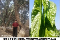 浓情中秋 礼赞国庆——致敬黄河千年清一回发起人张国土