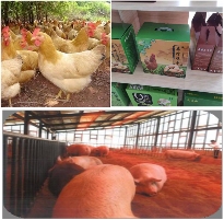 浓情中秋 礼赞国庆——致敬黄河千年清一回发起人张国土