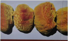 浓情中秋 礼赞国庆——致敬黄河千年清一回发起人张国土