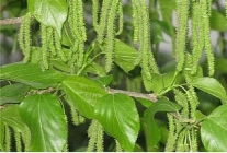 浓情中秋 礼赞国庆——致敬黄河千年清一回发起人张国土