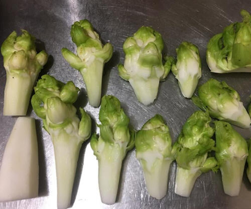 干贝炒抱子芥菜