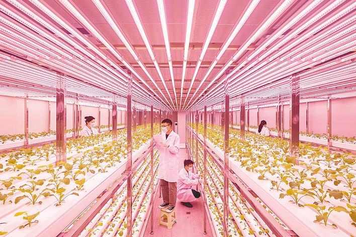 智耕沃野 新时代鱼米之乡迈向农业强省