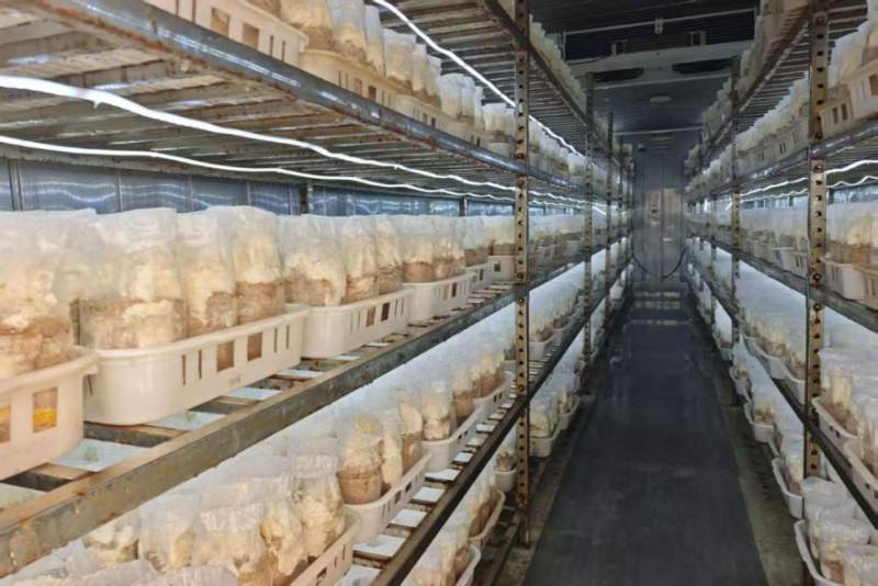 集群发展 串珠成链 创新赋能——河北省县域经济发展观察 集群发展 串珠成链 创新赋能——河北省县域经济发展观察