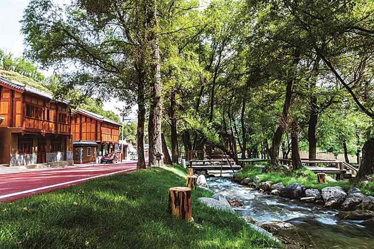 甘肃省甘南州临潭县冶力关镇池沟村：山坳里端起诗意饭碗