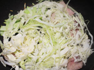 大阪经典美食豚平烧