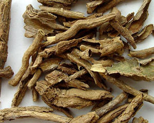 枸杞根的功效与作用详解 地骨皮药用价值全解析