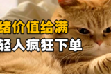情绪价值如何影响消费决策，品牌营销新策略解析