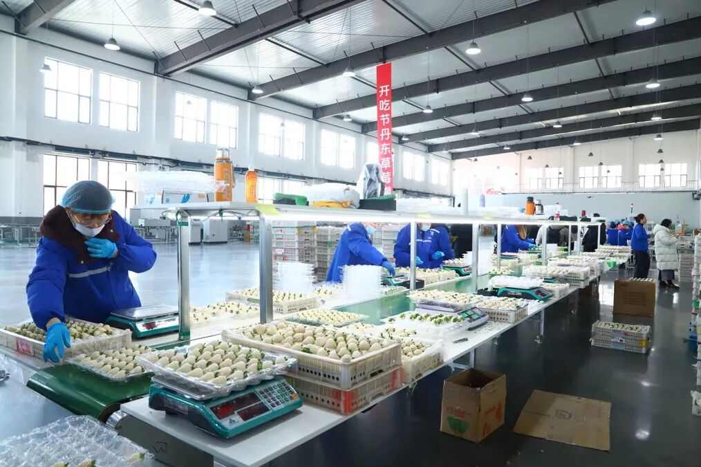 草莓价格分化明显 从十几元到数百元的市场新格局