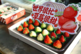 草莓价格分化明显 从十几元到数百元的市场新格局