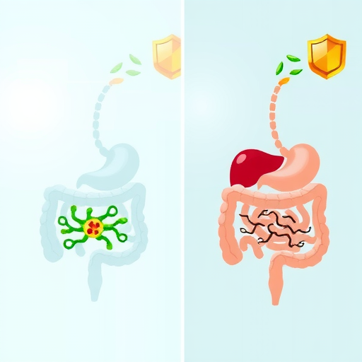 益生菌对比：肠道健康守护者的选择差异