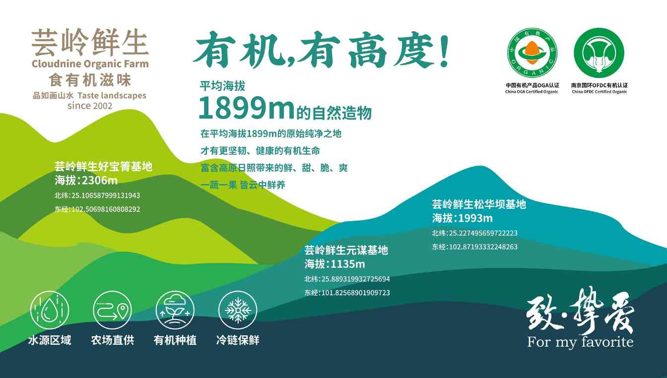 资讯 资讯