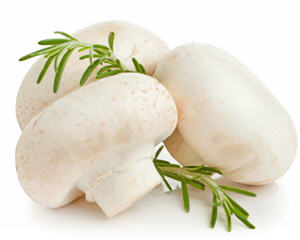蘑菇药用价值解析及分类与识别方法指南-哉互尼烹饪网