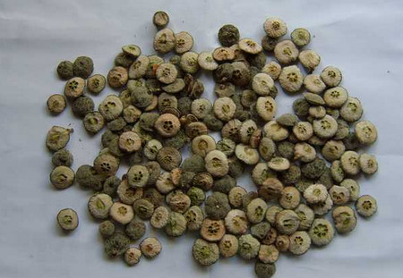 枳实：多方面药理作用与临床应用解析-哉互尼烹饪网