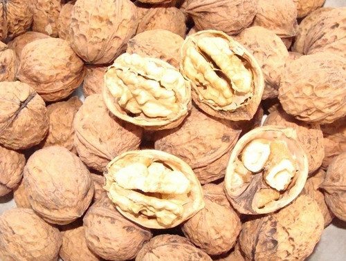 核桃功效作用、挑选禁忌与食用指南-哉互尼烹饪网 核桃功效作用、挑选禁忌与食用指南-哉互尼烹饪网