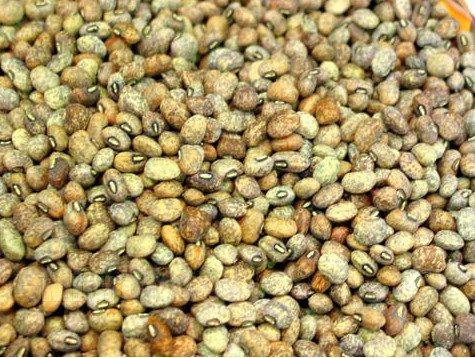 花豆功效及营养价值解析,禁忌与食用方法全知道-哉互尼烹饪网 花豆功效及营养价值解析,禁忌与食用方法全知道-哉互尼烹饪网