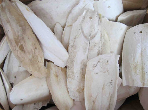 乌贼骨功效与作用解析,中医治疗多种疾病应用方法-哉互尼烹饪网 乌贼骨功效与作用解析,中医治疗多种疾病应用方法-哉互尼烹饪网