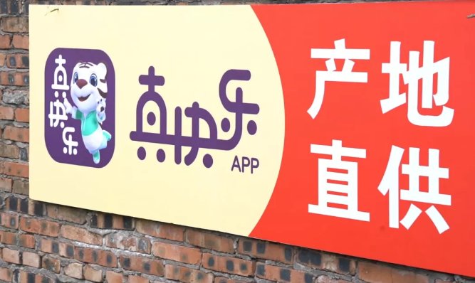 冬季养生首选 奉节脐橙双12限时畅购-哉互尼烹饪网 冬季养生首选 奉节脐橙双12限时畅购-哉互尼烹饪网