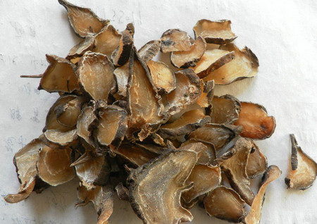 白附子药理作用及美容功效解析-哉互尼烹饪网 白附子药理作用及美容功效解析-哉互尼烹饪网