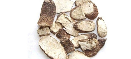 白附子药理作用及美容功效解析-哉互尼烹饪网 白附子药理作用及美容功效解析-哉互尼烹饪网
