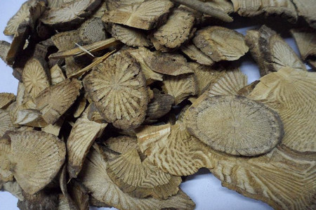 青风藤的药理功效及研究进展解析-哉互尼烹饪网 青风藤的药理功效及研究进展解析-哉互尼烹饪网