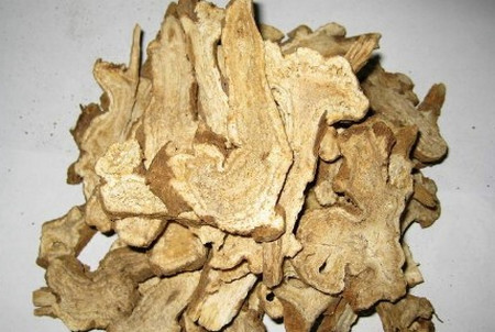 白术 白术