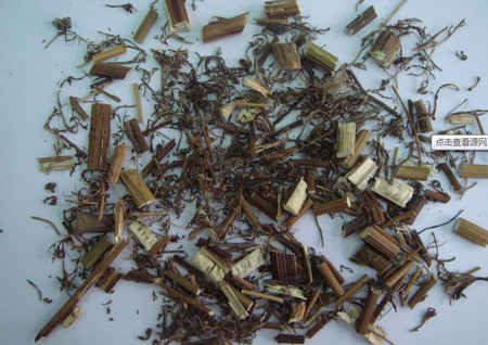 青蒿 青蒿
