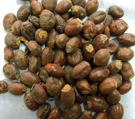 荔枝核 荔枝核
