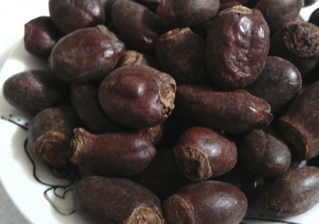 荔枝核 荔枝核