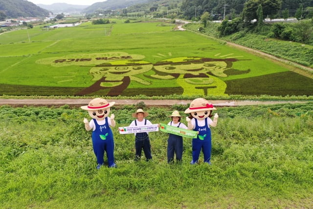 资讯