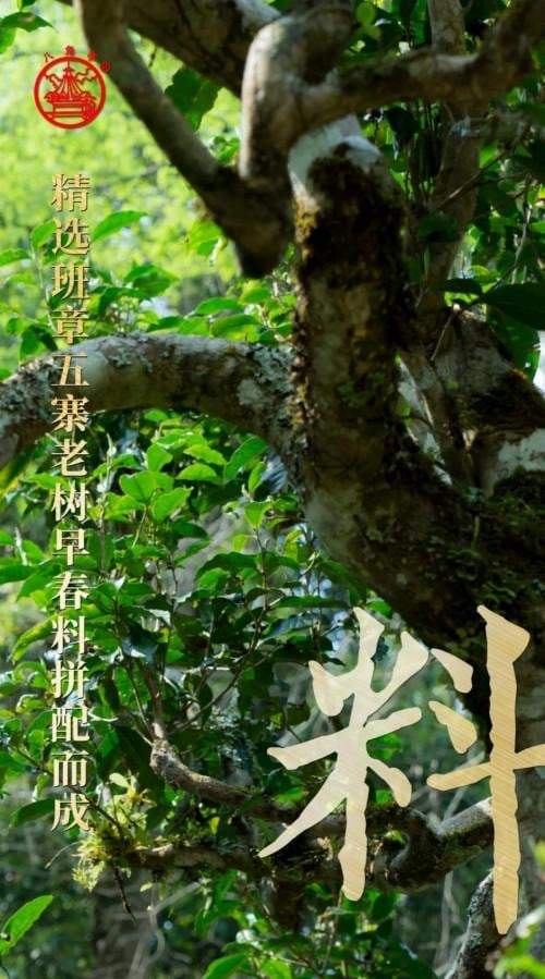 九鼎珍藏班章五寨:上乘原料拼配成就卓越品质-哉互尼烹饪网 九鼎珍藏班章五寨:上乘原料拼配成就卓越品质-哉互尼烹饪网