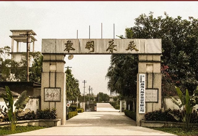 九鼎珍藏班章五寨:上乘原料拼配成就卓越品质-哉互尼烹饪网 九鼎珍藏班章五寨:上乘原料拼配成就卓越品质-哉互尼烹饪网