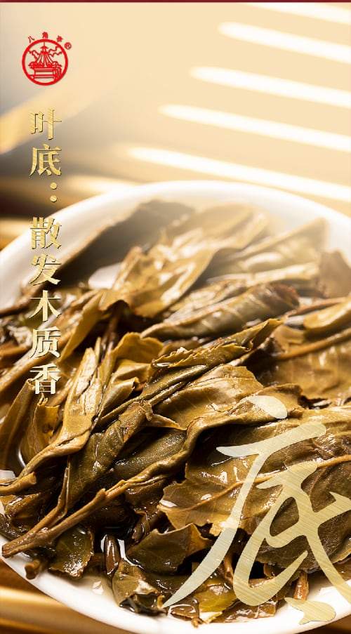 九鼎珍藏班章五寨:上乘原料拼配成就卓越品质-哉互尼烹饪网 九鼎珍藏班章五寨:上乘原料拼配成就卓越品质-哉互尼烹饪网