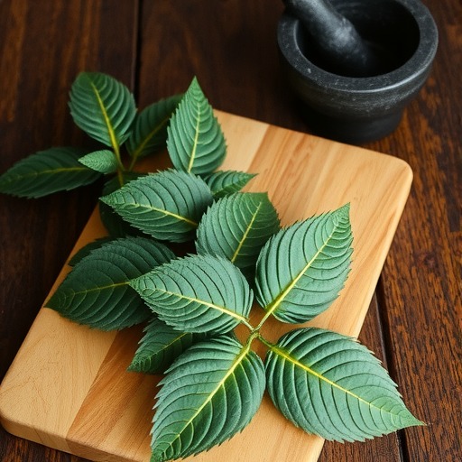侧柏叶多重功效解析 凉血止血抗菌助养生-哉互尼烹饪网