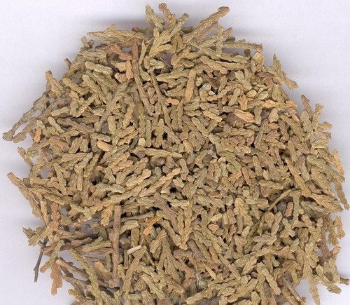 侧柏叶多重功效解析 凉血止血抗菌助养生-哉互尼烹饪网 侧柏叶多重功效解析 凉血止血抗菌助养生-哉互尼烹饪网
