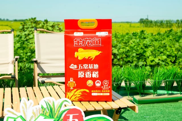 五常原香稻溯源活动彰显高端品质与科技赋能-哉互尼烹饪网 五常原香稻溯源活动彰显高端品质与科技赋能-哉互尼烹饪网