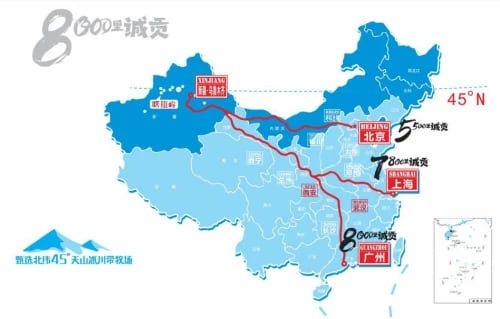 新疆奶的品质逆袭:自然优势与市场突围-哉互尼烹饪网 新疆奶的品质逆袭:自然优势与市场突围-哉互尼烹饪网