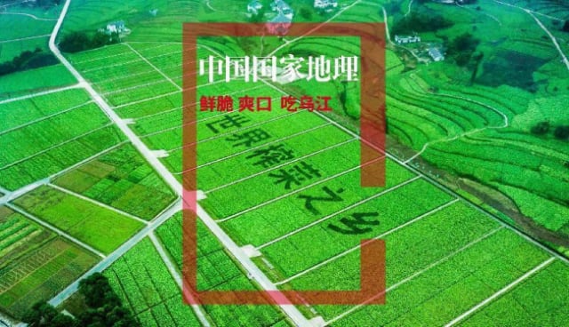 资讯 资讯