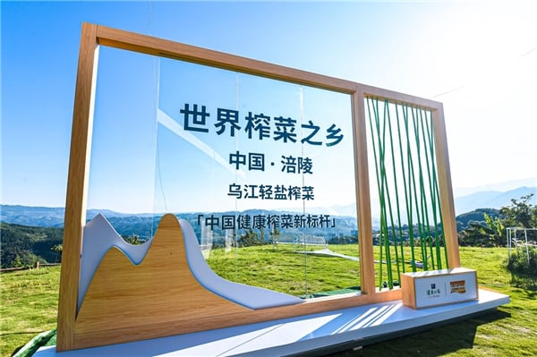 资讯 资讯