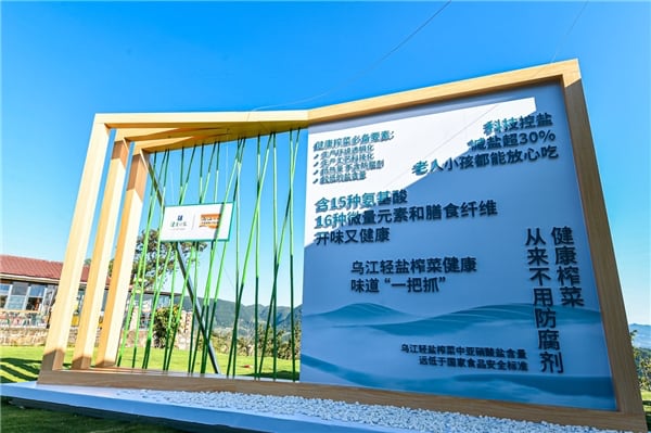 资讯 资讯